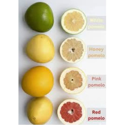 Fresh pomolo mix in gift box (4 pieces 4 colours)