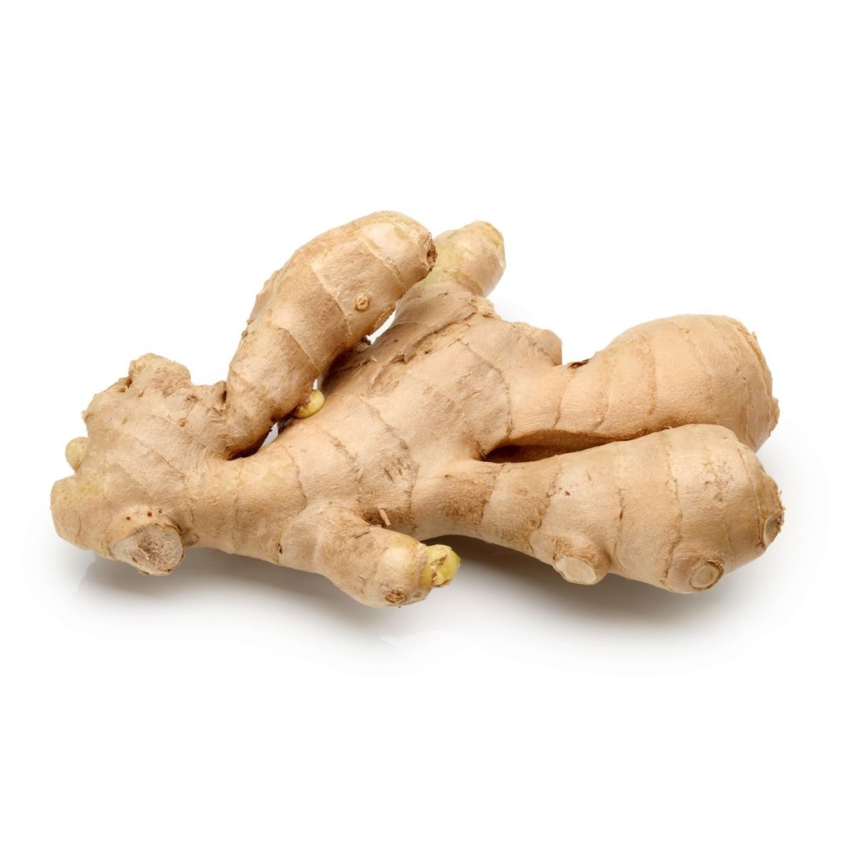 Gingembre frais (fresh ginger) 400-500 gr