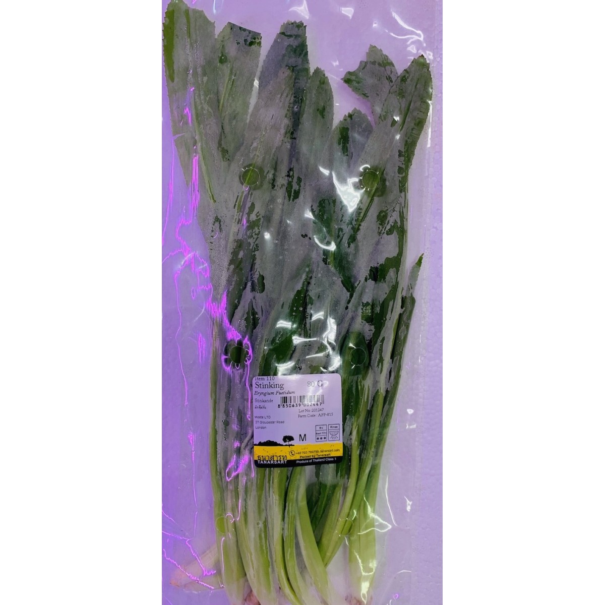 Thailändische petersilie europäisches Gras 100gr