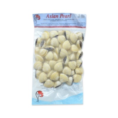 Venus shells 1kg