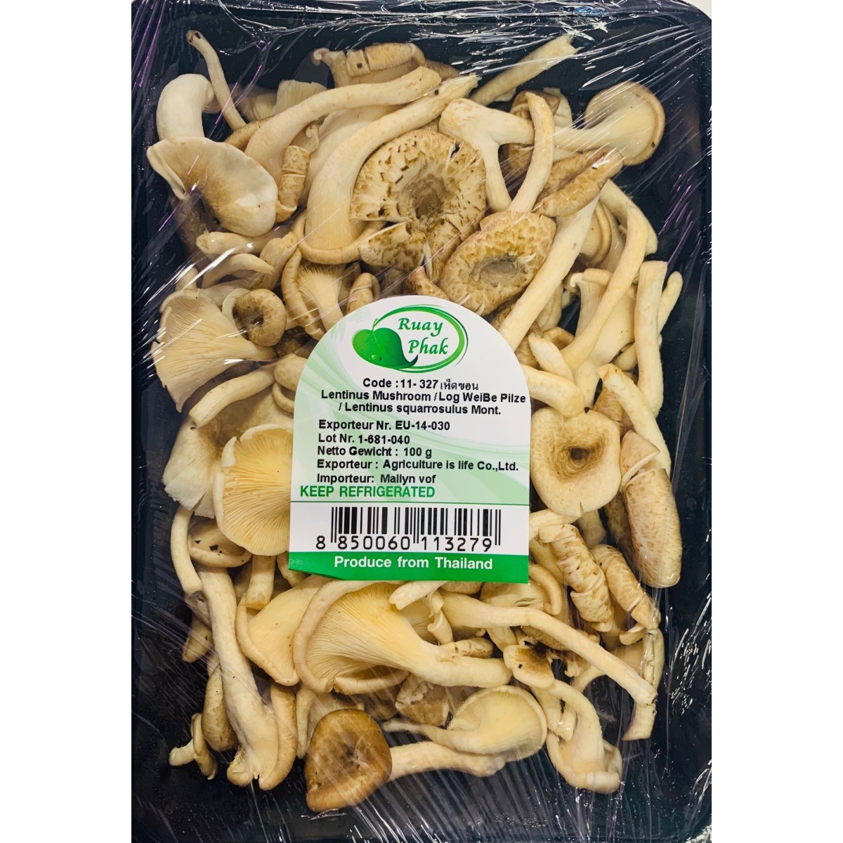 Champignon Lentinus (Lentinus mushroom) 100gr