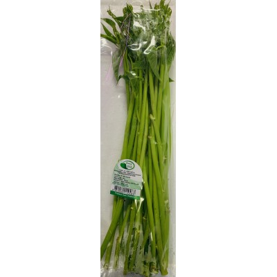 Gloire du matin thaï morning glory kangkong (Thai morning glory) 200gr