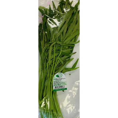 Gloire du matin chinois (Chinese Morning Glory) 200gr