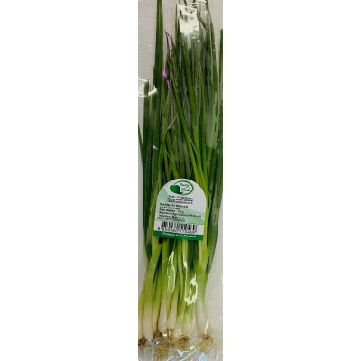Spring onion 100gr