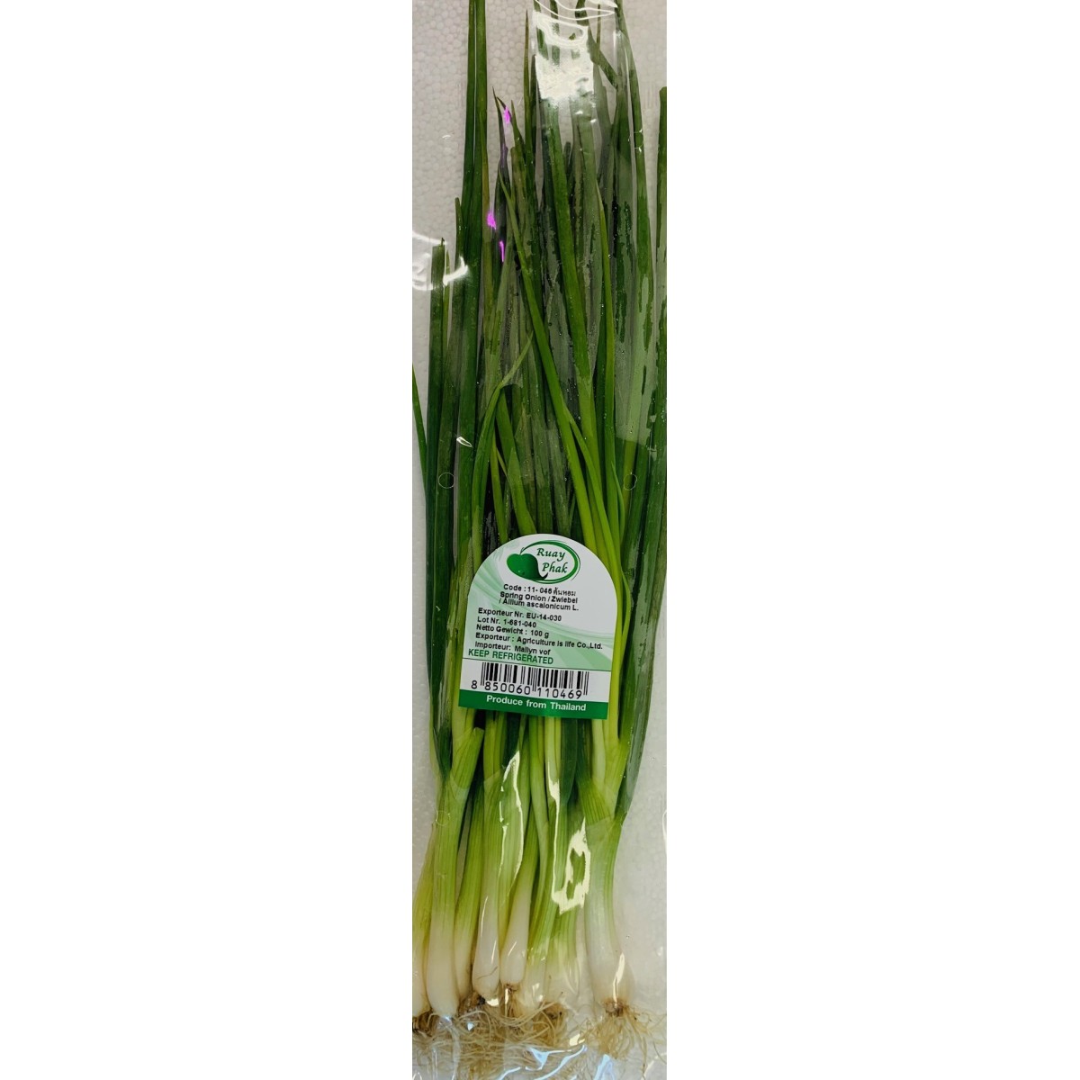 Oignon de printemps (Spring onion) 100gr