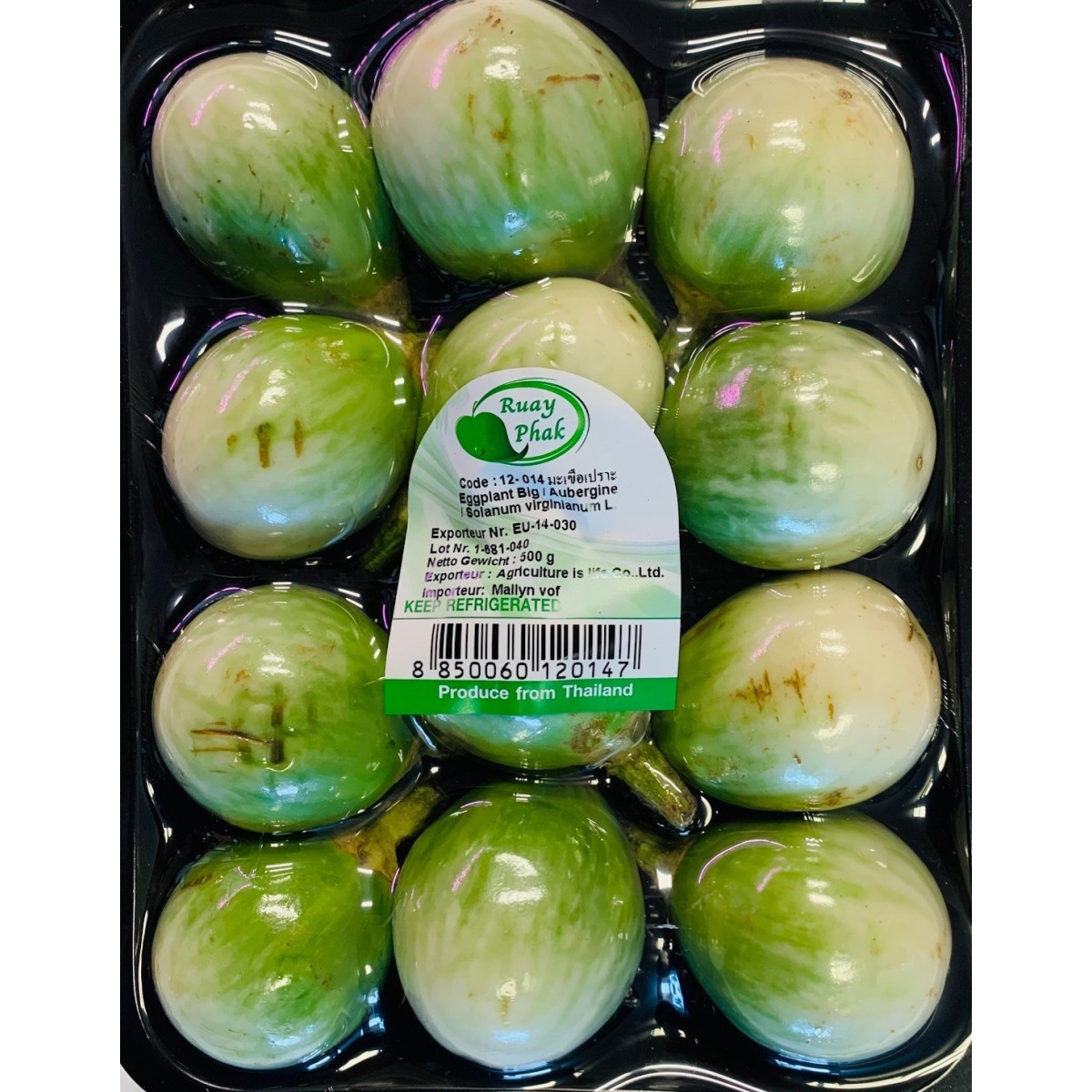 Fresh large Thai eggplants 500gr
