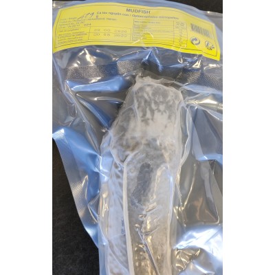 Schlangenkopffisch 500-600gr
