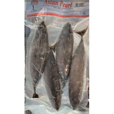 Pearl River small bullet tuna bonito 900gr
