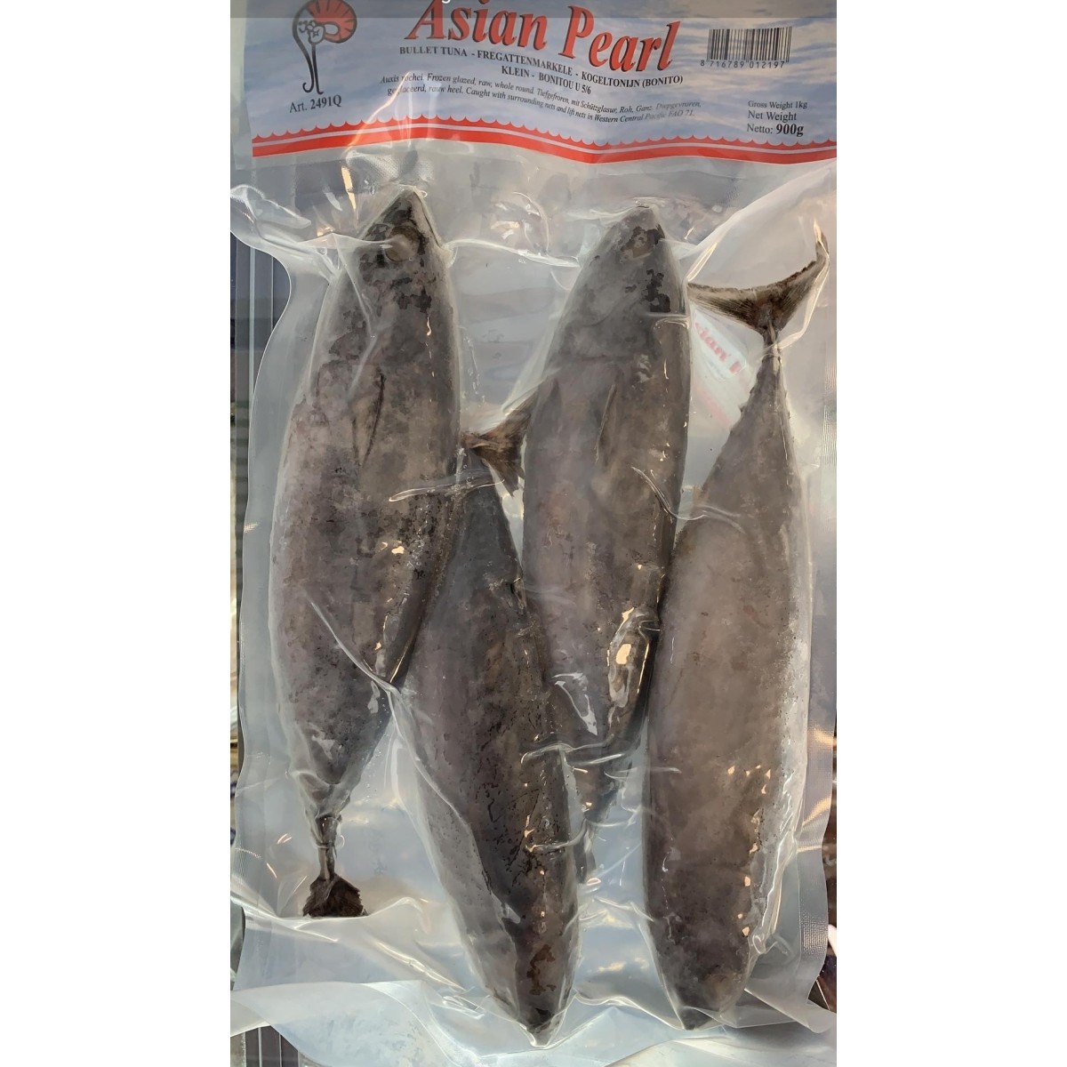 Pearl River small bullet tuna bonito 900gr