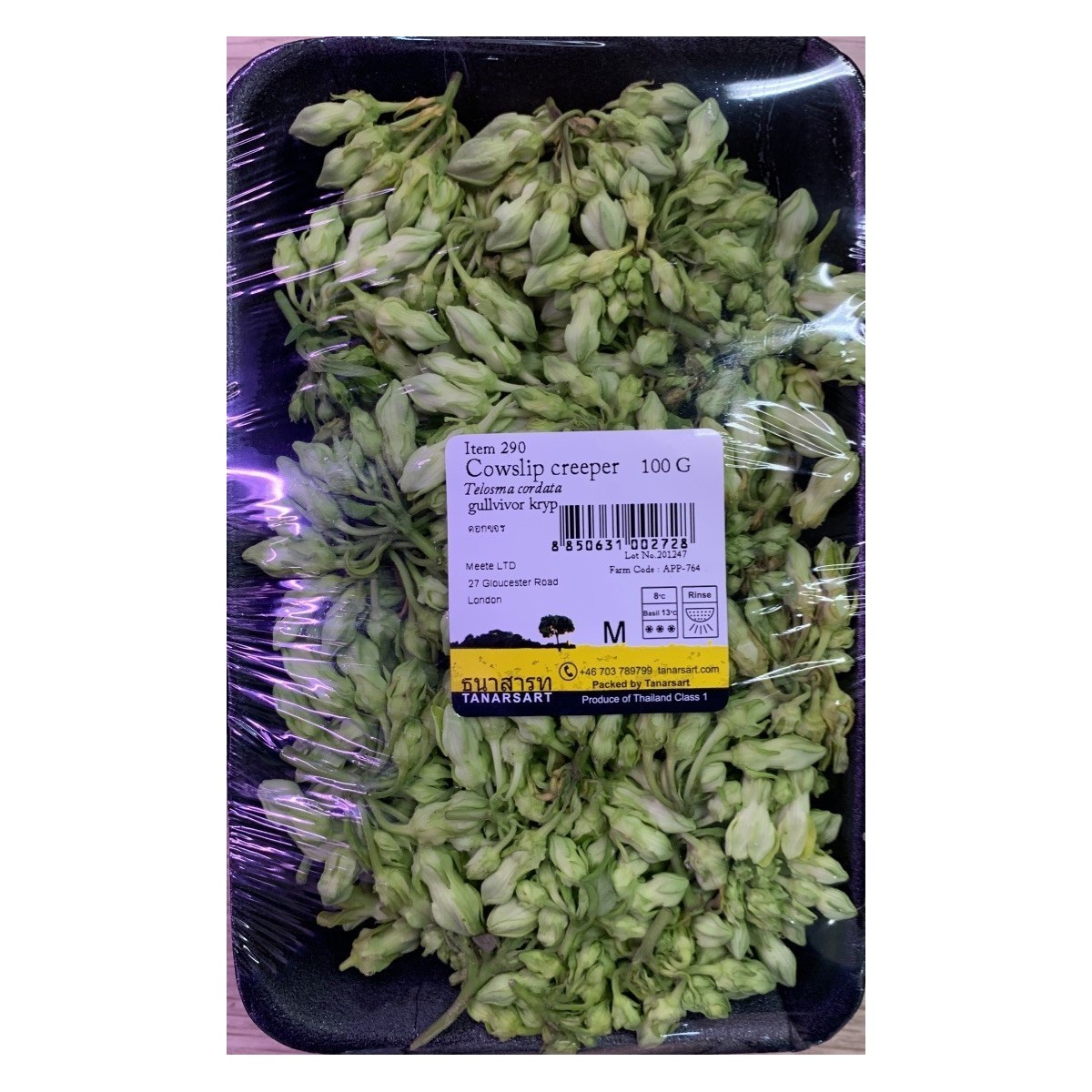 Dok Kachorn cowslip creeper 100gr