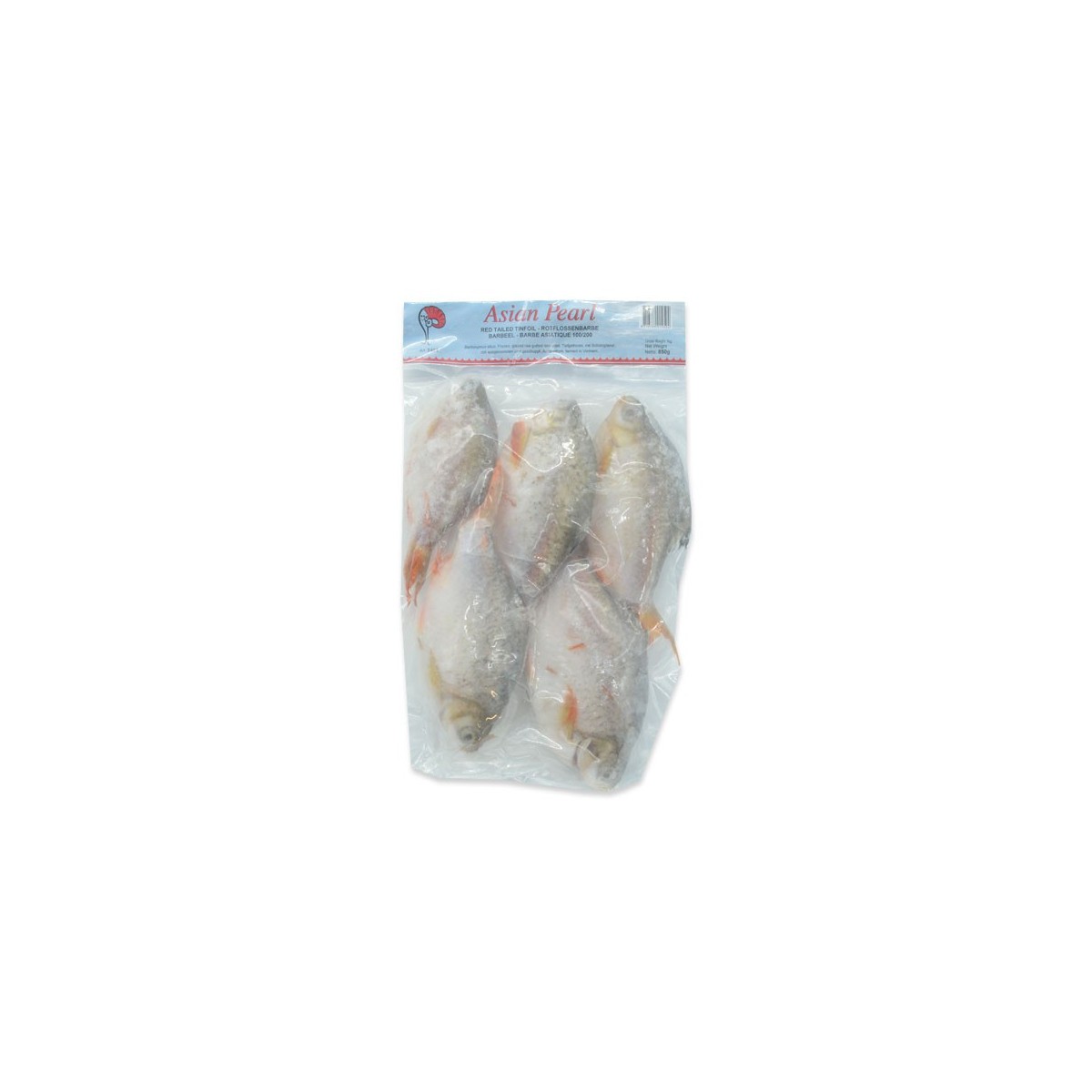 Barbeau (carpe) 900-1000gr