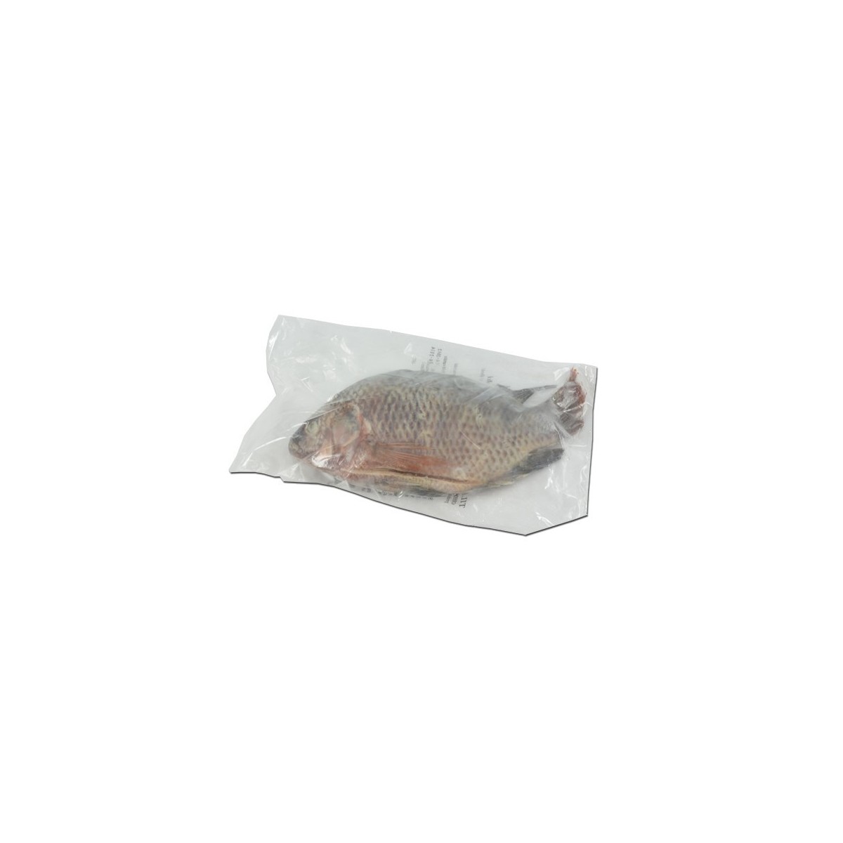 Zwarte tilapia 500-600gr