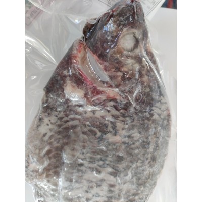 Yellow label ready-to-cook black tilapia 600-700gr