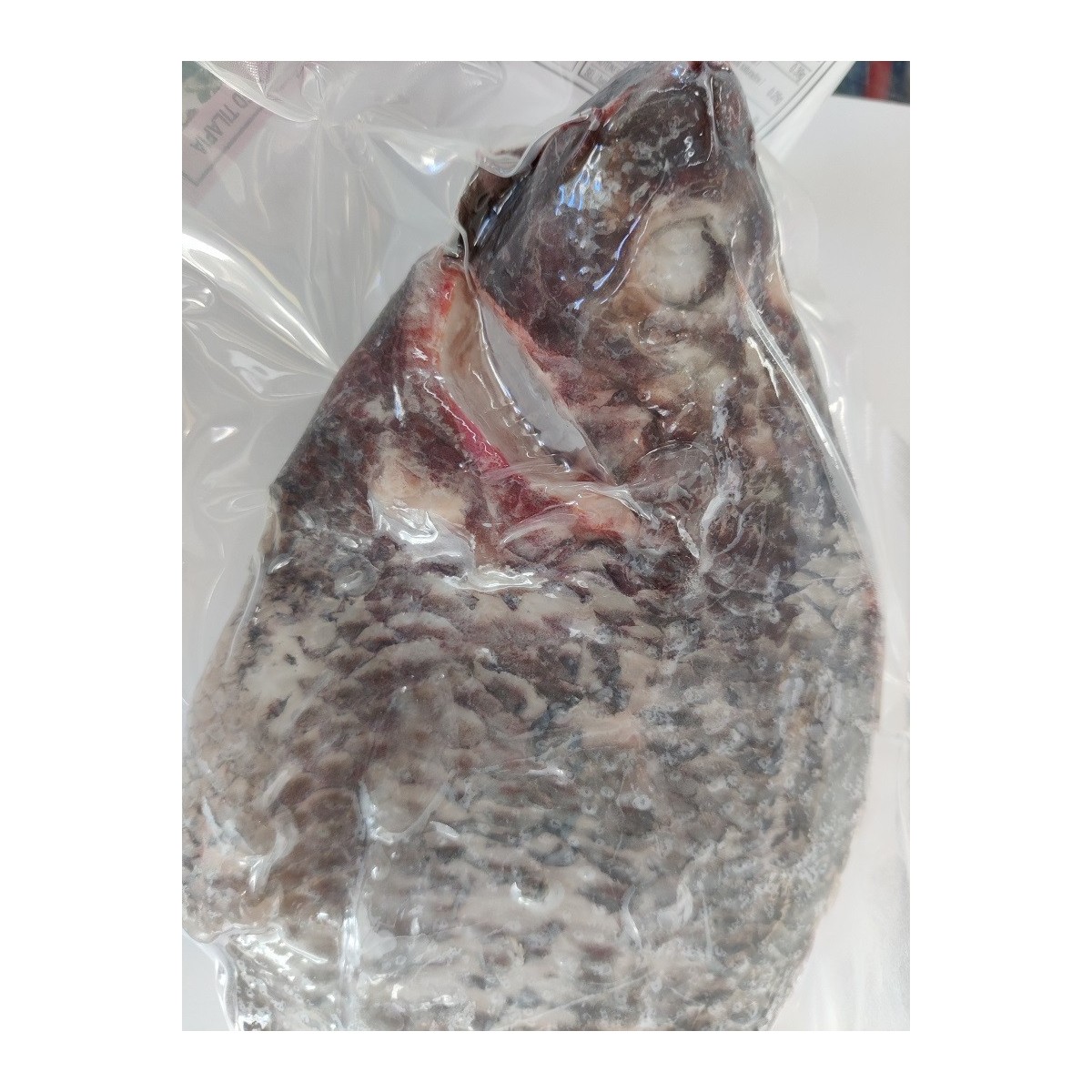 Yellow label panklare zwarte tilapia 600-700gr