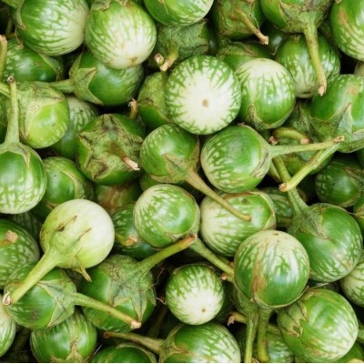 Fresh Thai style egg plants (origin Dominican Republic) 500gr