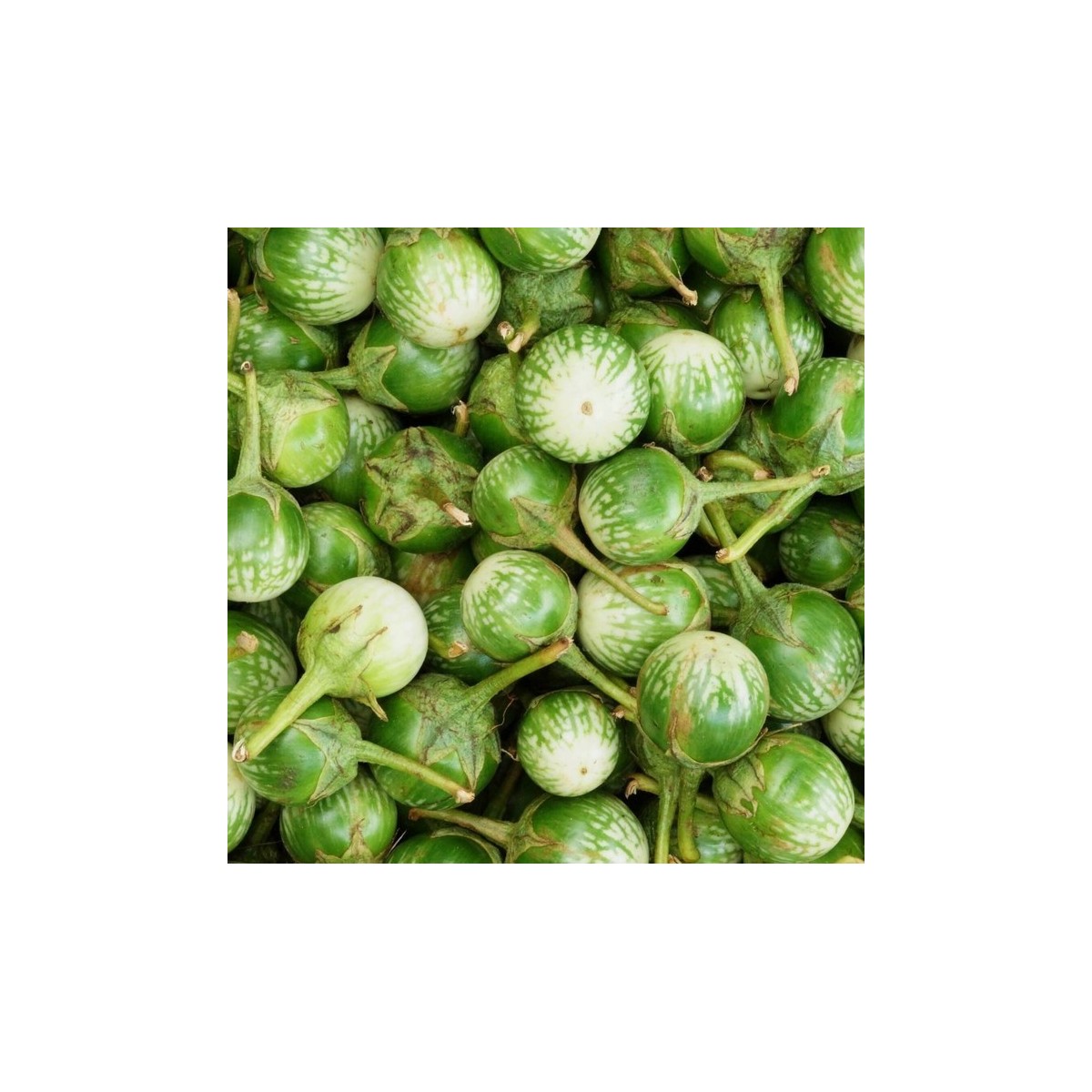 Fresh Thai style egg plants (origin Dominican Republic) 500gr