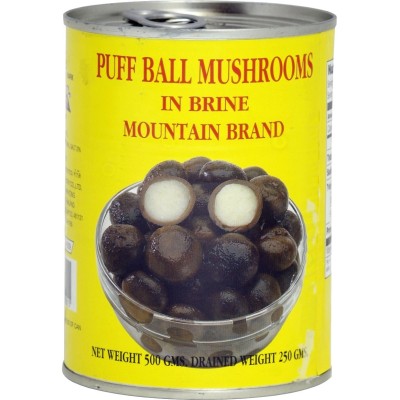 Mountain puff ball champignons 500gr
